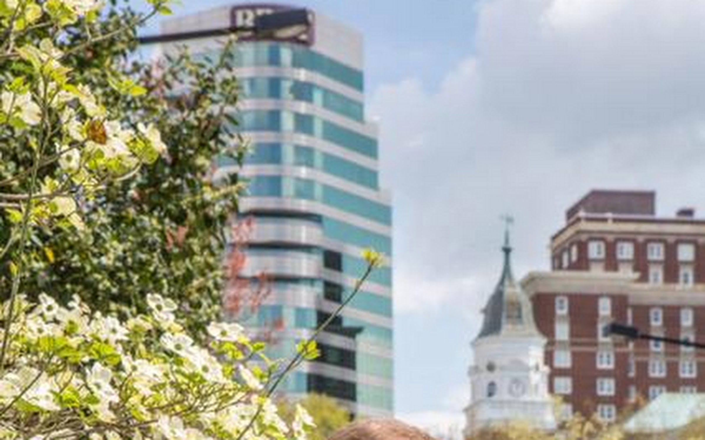 The Bell Law Firm, PLLC